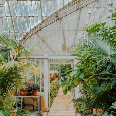Gorgeous greenhouse garden filled with lush fauna.